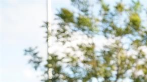 Erasmo Apodaca Mendizábal.