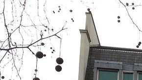 2-8a Rutland Gate de Hyde Park, en Knightsbridge, Londres.