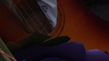 Recuerdos por Tessa Majors en Morningside Park