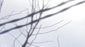 Los proyectistas aseguran que se crearán 20,000 plazas de empleos.