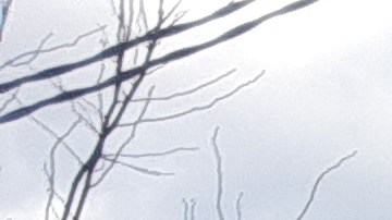 Los proyectistas aseguran que se crearán 20,000 plazas de empleos.