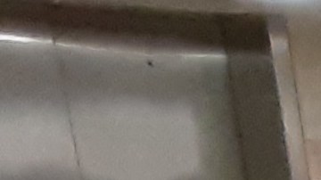 En invierno el problema se hace más latente en el sistema de transporte.