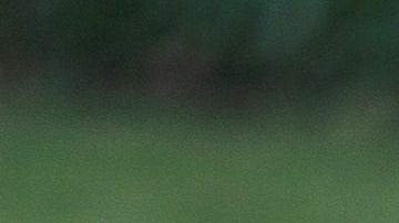 Advirtieron que Trump representa una amenaza para la seguridad nacional.