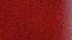 Michelle Obama ya ha expresado públicamente que no le interesa participar en elecciones.