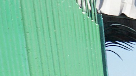 Más de 4,000 personas buscan cruzar México hacia EEUU.