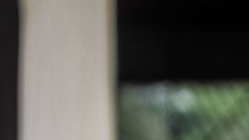 Países para ir de voluntario, Kenia / Créditos Ray Sangga Kusuma vía Unsplash