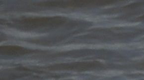 Hombres, mujeres y niños avanzaron por el agua.