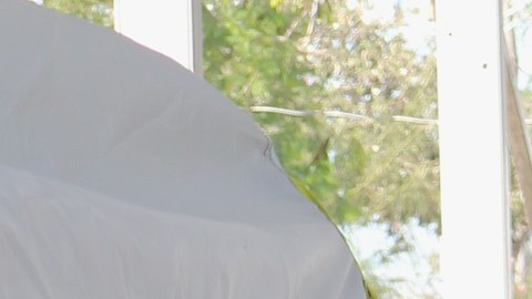 Más de 60,000 inmigrantes han sido enviados a México.