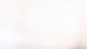 Los supremacistas fueron detenidos días antes de la marcha en Richmond.