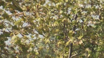 El conductor podría pasar el resto de su vida tras las rejas