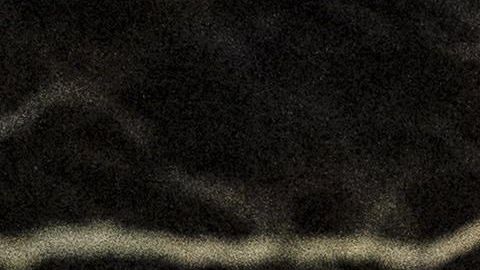 La escultura ya había sufrido varios ataques cometidos por los radicales.