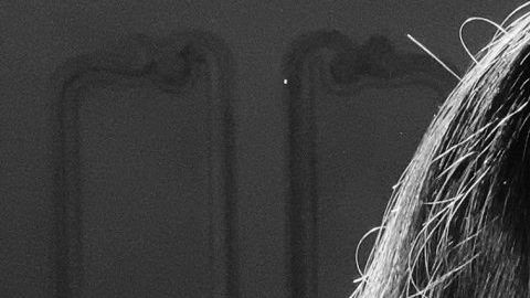 EFE/ EQUIPO SELENA GOMEZ/SOLO USO EDITORIAL/NO VENTAS