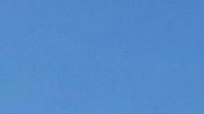 El muro fronterizo impactará una zona desértica donde viven especies amenazadas.