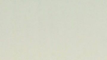 Carolina Sandoval "La Venenosa" y Juan Manuel Cortés. Foto: Mezcalent