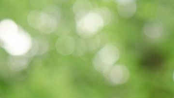 Increíbles recetas con semillas de chía para lograr un peso estable, de manera saludable.