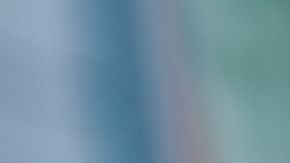 aguacate-Coyot-pixabay