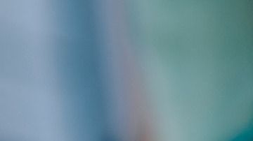 aguacate-Coyot-pixabay