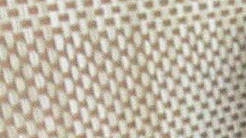 Ana Brenda Contreras.