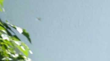 El gladiador no pudo contener las lágrimas frente a las cámaras.