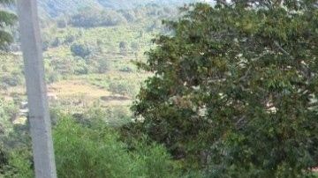 Arman a niños para pelear vs narco