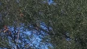 La zona donde ocurrió la explosión es de población mayormente hispana.