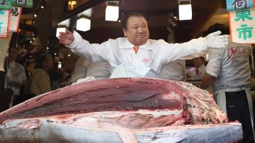 El empresario compró un atún rojo que pesaba 608 libras.