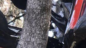 En el avión viajaban tres pasajeros, dos de ellos se reportaron sin vida tras el accidente.