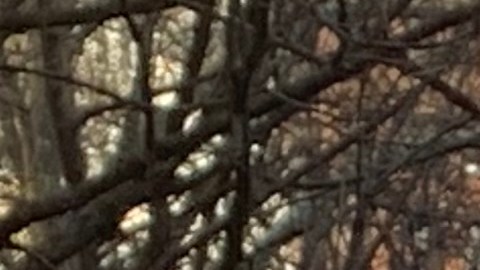 El concejal Ritchie Torres introdujo la iniciativa en el Concejo Municipal que pretende orientar y conectar a boricuas recién llegados con servicios y programas