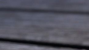 Según la mujer, entre ellos hay verdadero amor.