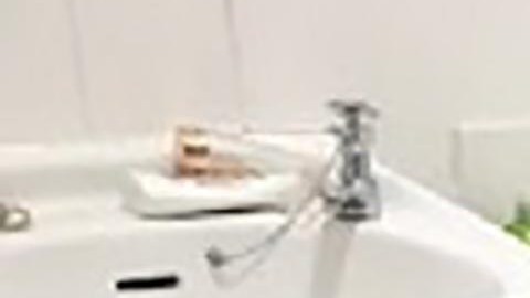 La boa hallada en el baño.