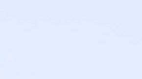 El estratega del LAFC está más que satisfecho con el trabajo realizado por Carlos Vela.