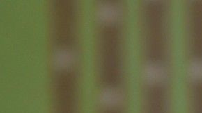 El Brujo Mayor recomendó a la directiva hacerse una limpia.