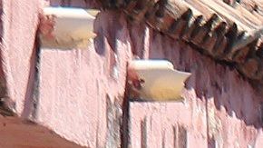 Peritos en el área de una balacera en Apaseo El Grande, Guanajuato.