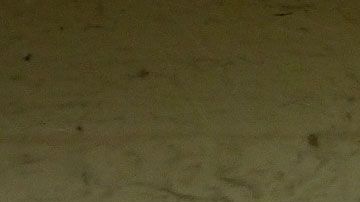 El estafador intenta inducir pánico y vergüenza en la víctima para que actúe sin pensar.