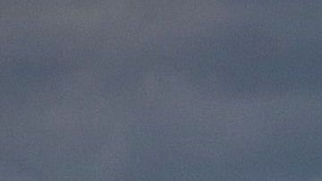 El contrabando de reciclaje es un delito en California.