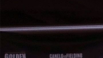 "Canelo" y Eddy Reynoso noquearon en los premios de la BWAA.