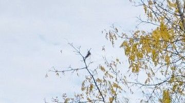 Las bajas tasas hipotecarias no garantizan un crecimiento de ventas en el mercado inmobiliario.