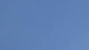 Se espera mucho frío en Florida esta semana.