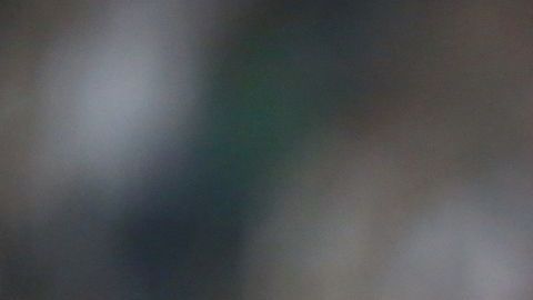 Algunos se ofendieron por el nuevo comentario del tabasqueño.
