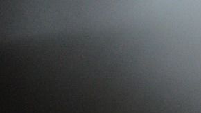 Una influencer decidió someter a su gato a un tatuaje y compartirlo en Instagram.