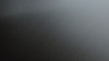 Una influencer decidió someter a su gato a un tatuaje y compartirlo en Instagram.