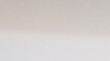 Caviar- Miroslavik en Pixabay