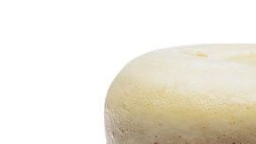 Si eres amante de la cerveza no puedes dejar de probar estas exquisitas variantes.