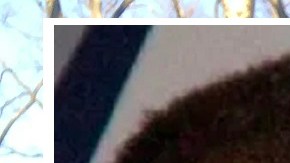 César de Castro es el abogado asignado por la Corte a Genaro García Luna.