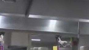 Food Arts Center, en Midtown East