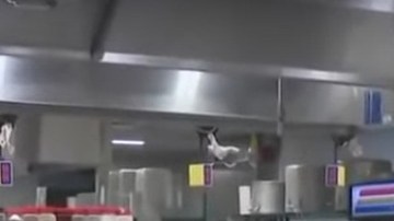 Food Arts Center, en Midtown East