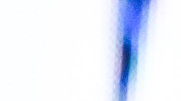 'The Notorious' es uno de los deportistas más ricos del mundo.