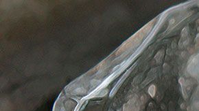 Esta política se implementará en 21 estados del país.