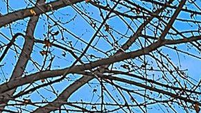 Mansión Crawford Hill.