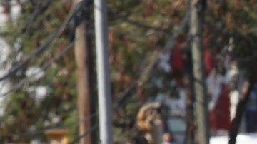 Nuevo fichaje que promete